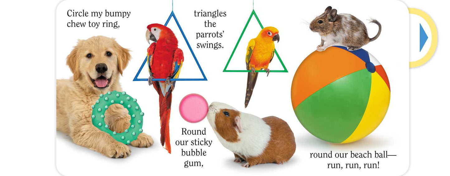 Pet (Shape)
