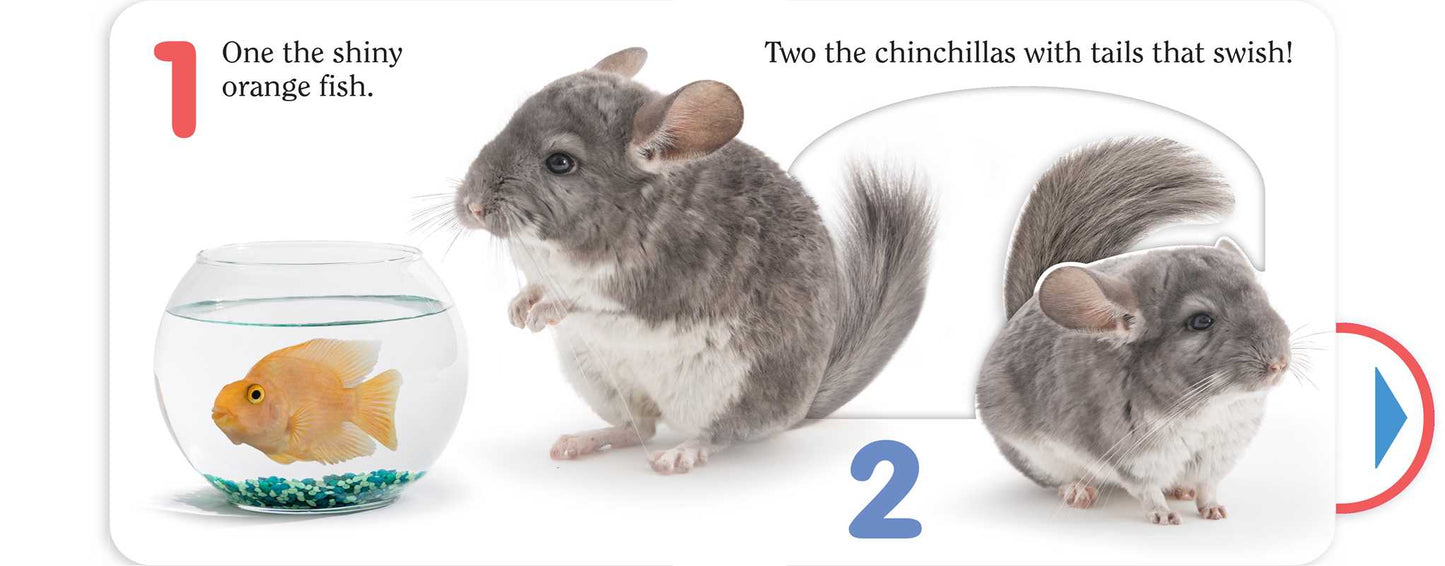 Pet (Count)
