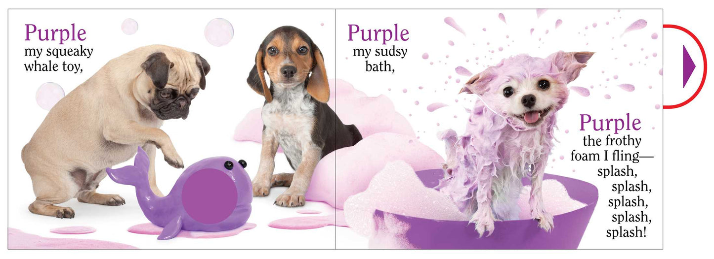 Dog (Color)